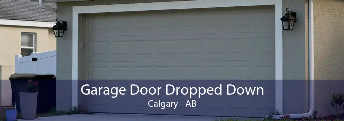 Garage Door Dropped Down Calgary - AB