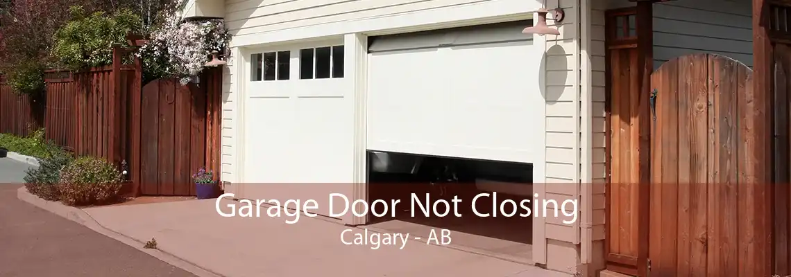 Garage Door Not Closing Calgary - AB