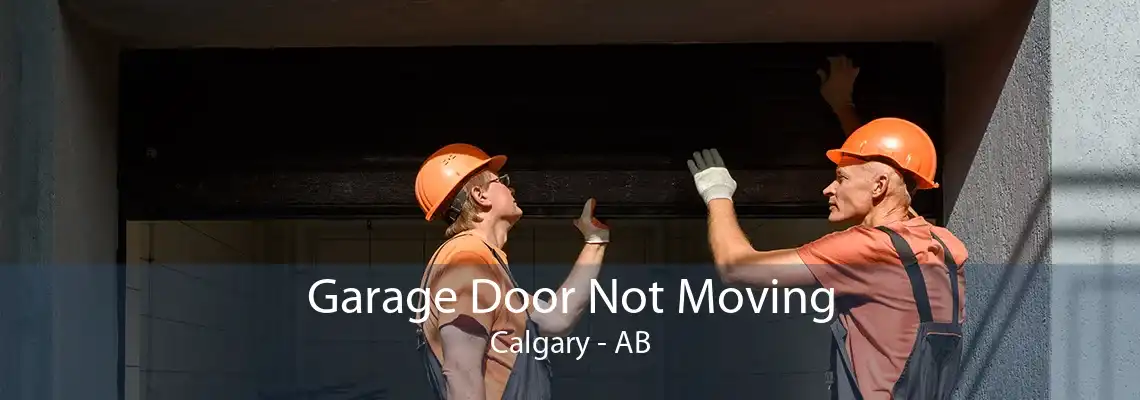 Garage Door Not Moving Calgary - AB