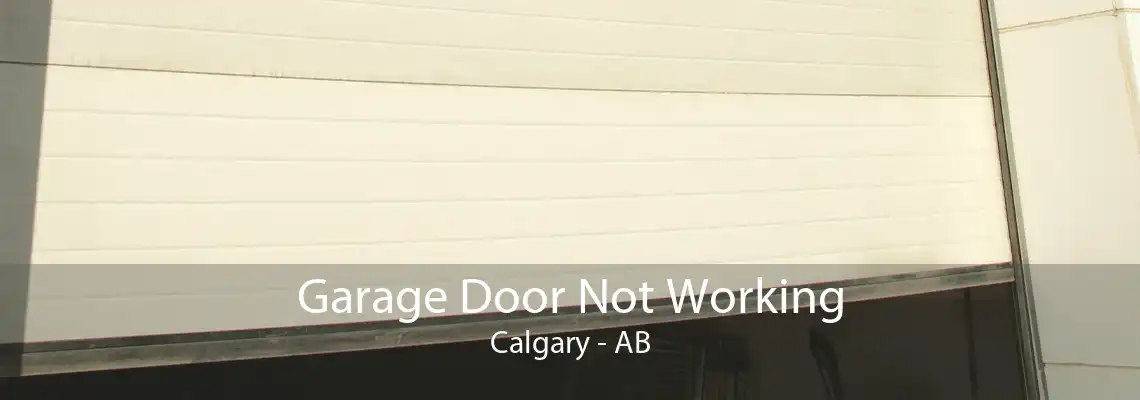 Garage Door Not Working Calgary - AB