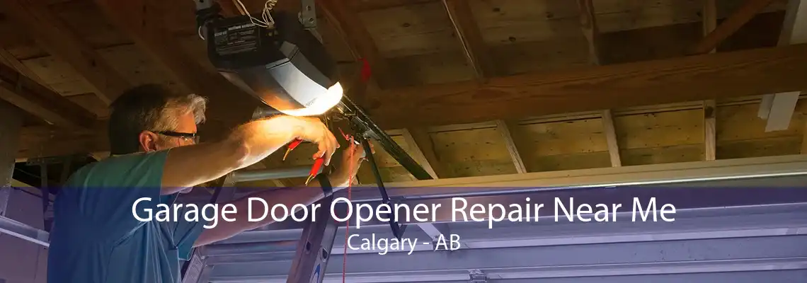 Garage Door Opener Repair Near Me Calgary - AB