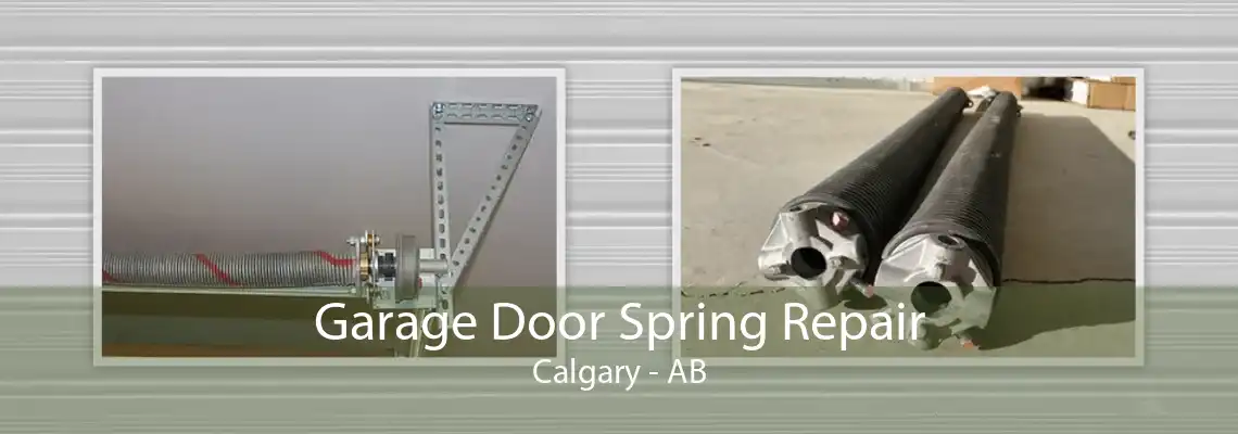 Garage Door Spring Repair Calgary - AB