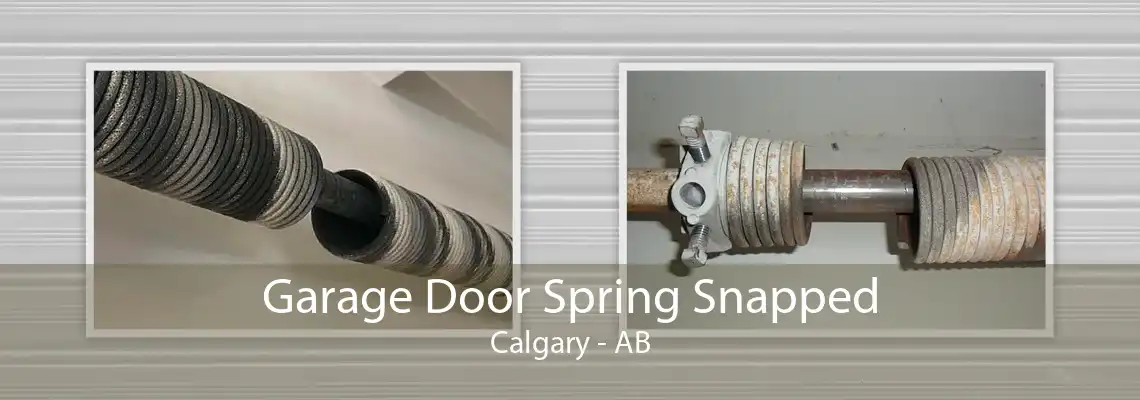 Garage Door Spring Snapped Calgary - AB