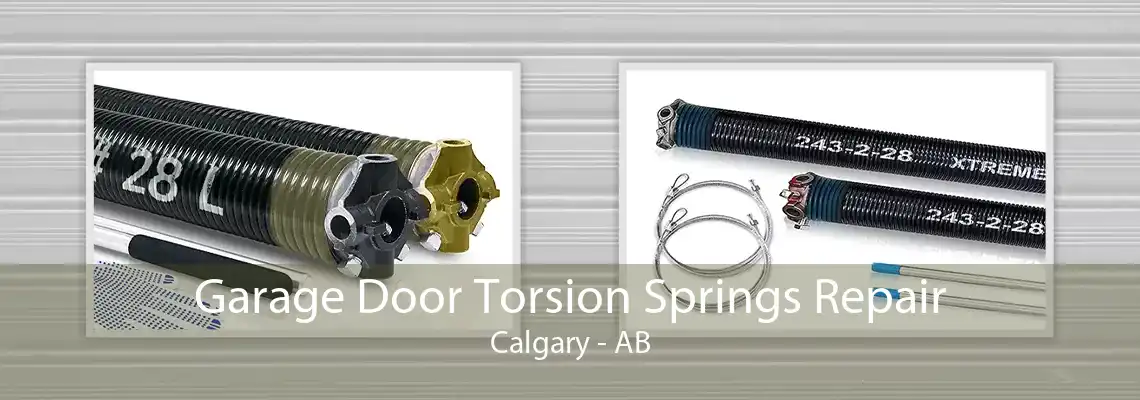 Garage Door Torsion Springs Repair Calgary - AB