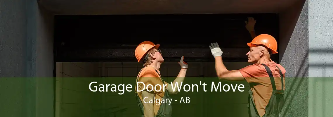 Garage Door Won't Move Calgary - AB