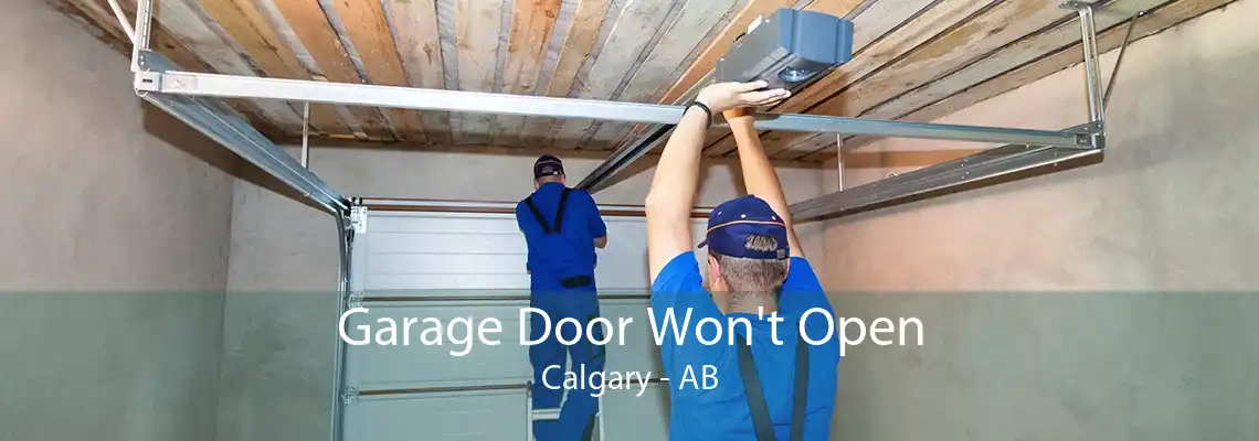 Garage Door Won't Open Calgary - AB