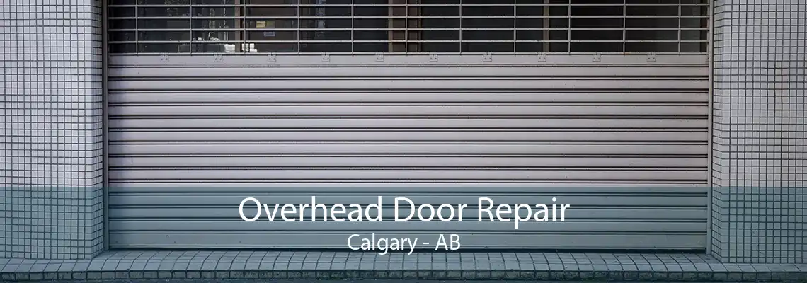 Overhead Door Repair Calgary - AB